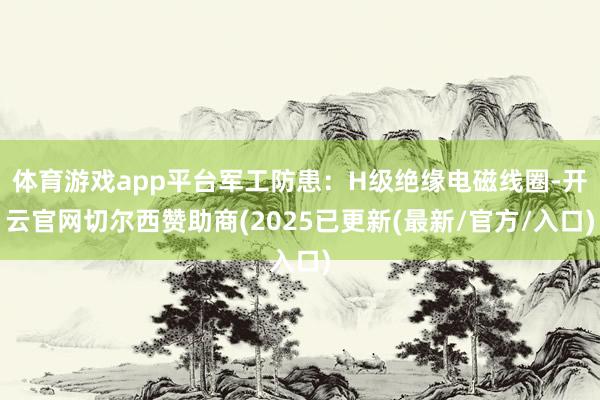 体育游戏app平台军工防患：H级绝缘电磁线圈-开云官网切尔西赞助商(2025已更新(最新/官方/入口)
