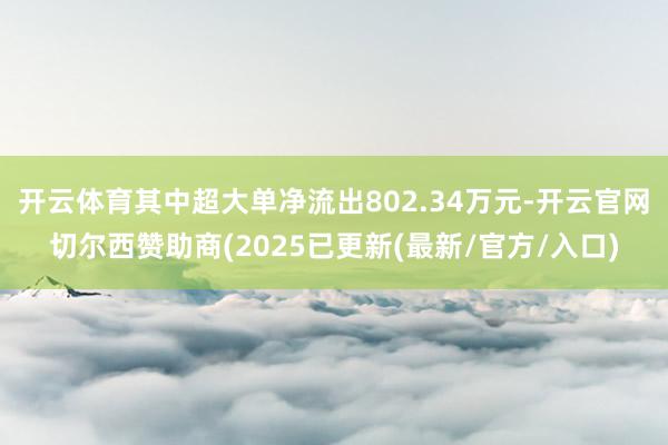 开云体育其中超大单净流出802.34万元-开云官网切尔西赞助商(2025已更新(最新/官方/入口)