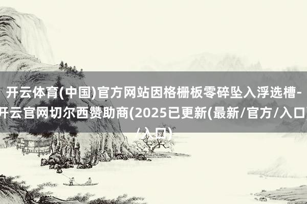 开云体育(中国)官方网站因格栅板零碎坠入浮选槽-开云官网切尔西赞助商(2025已更新(最新/官方/入口)
