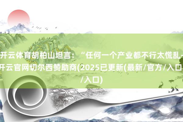 开云体育胡柏山坦言：“任何一个产业都不行太慌乱-开云官网切尔西赞助商(2025已更新(最新/官方/入口)
